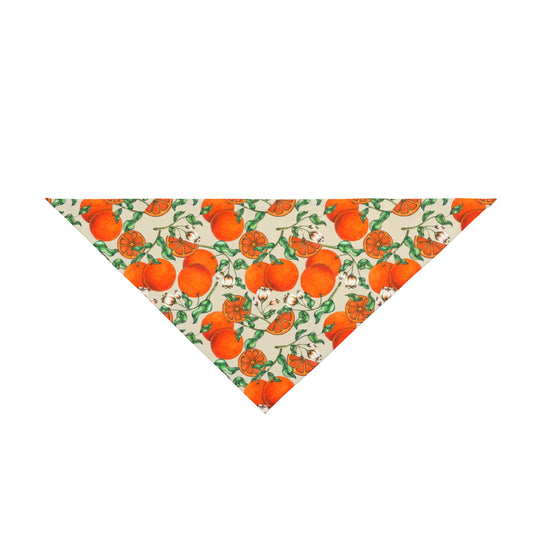 Copy of Copy of Copy of Pet Bandana